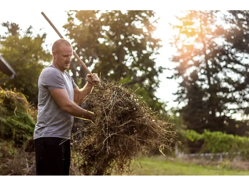 Revitalize Your Landscape With Expert Tree Mulching Service