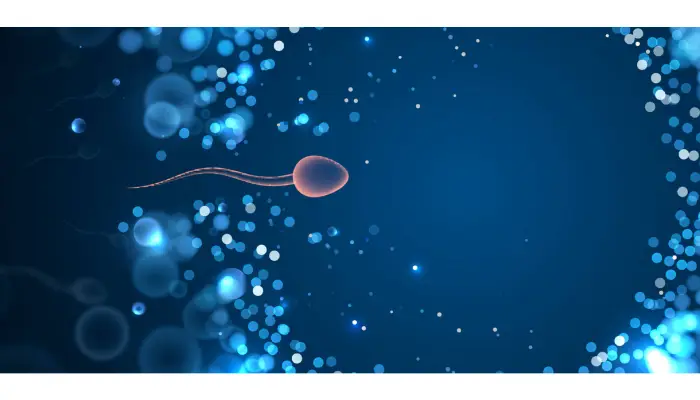 What Is IUI And How Can It Help You Start Your Family?