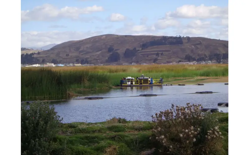 vegetation dredge