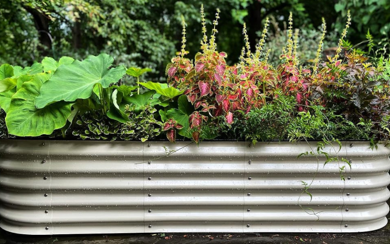 Galvanized Raised Bed Planter