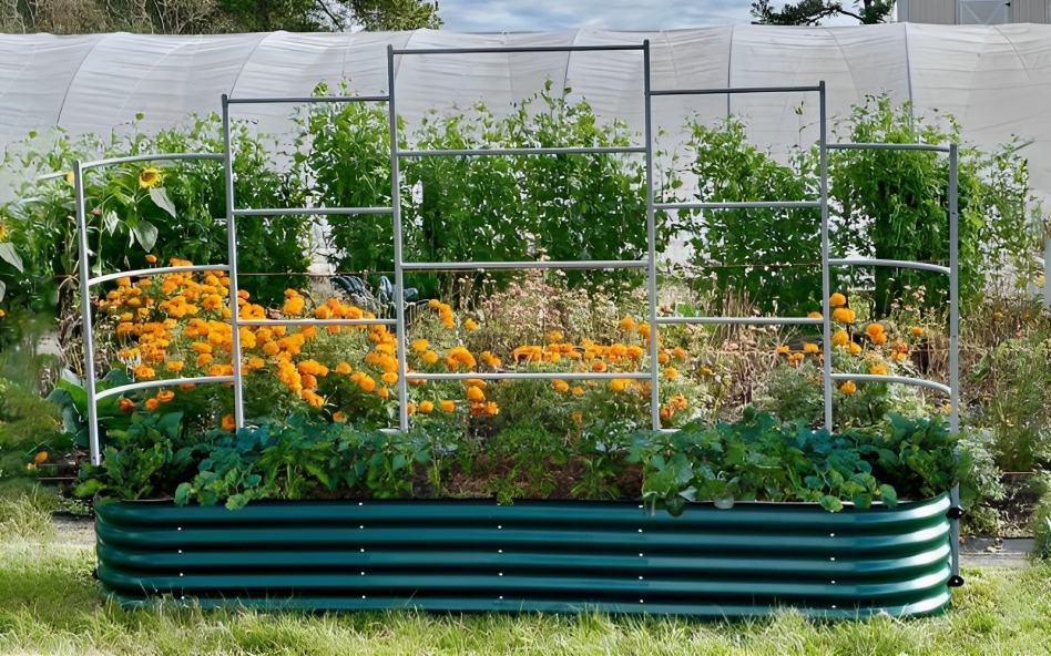 Raised garden beds for sale