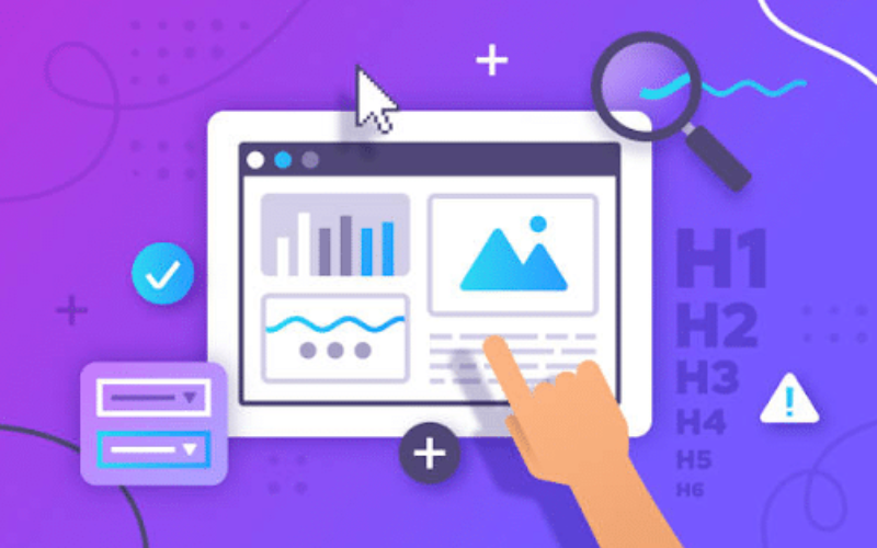 tampa website design