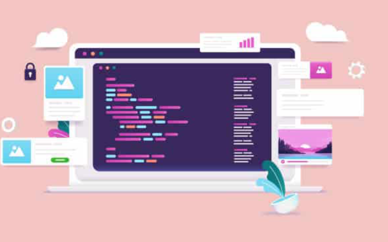 tampa website design 
