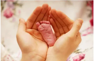 San diego egg donation