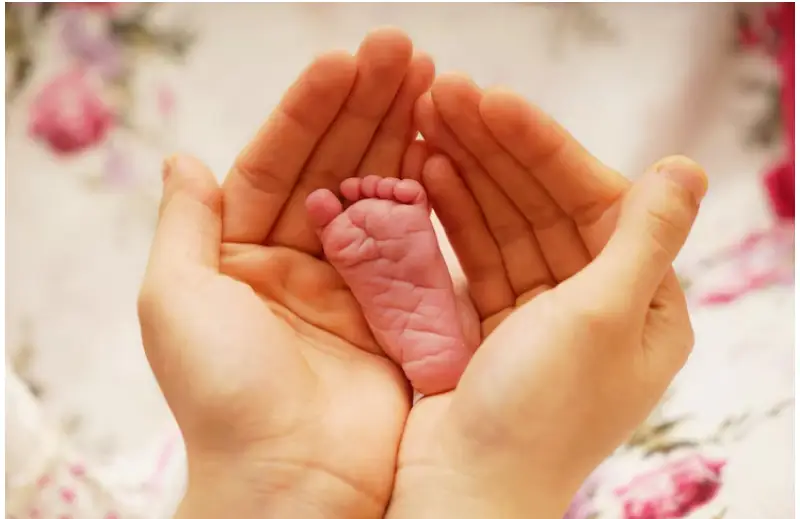 San diego egg donation